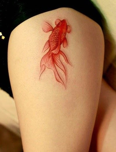 Fish Tattoo Best Fish Tattoo designs ideas