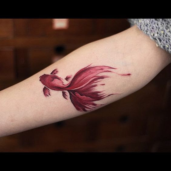 Fish Tattoo Best Fish Tattoo designs ideas
