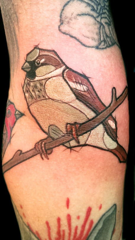 Sparrow tattoos