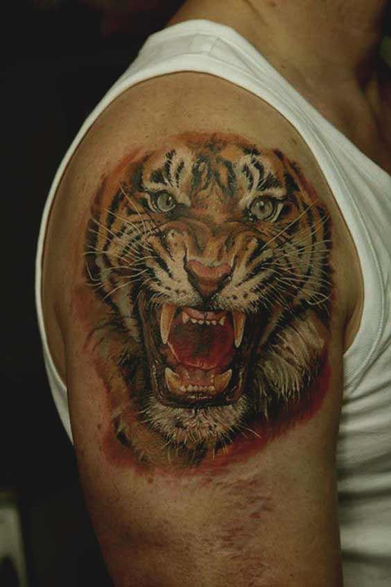 Best Tiger Tattoos For Men And Women Tiger tattoo designs on shoulder for men