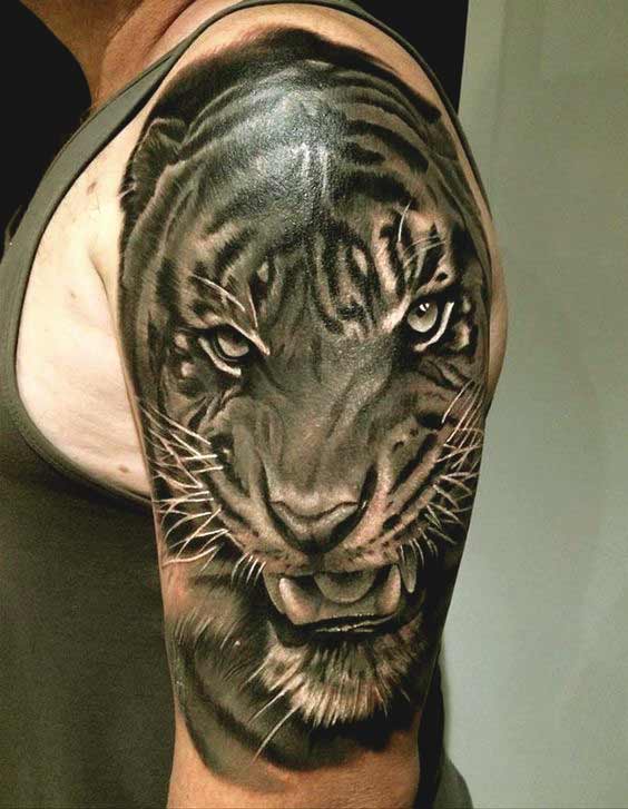Best Tiger Tattoos For Men And Women Black tiger tattoo designs on shoulder for guys