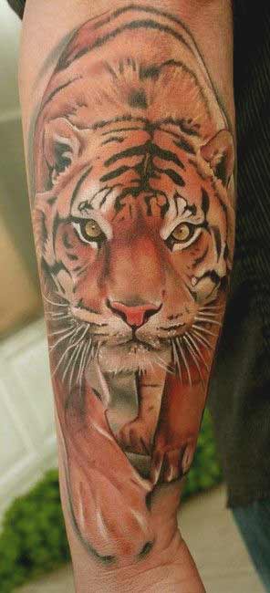 Best Tiger Tattoos For Men And Women Beautiful tiger face tattoo design on inner forearm ideas for women