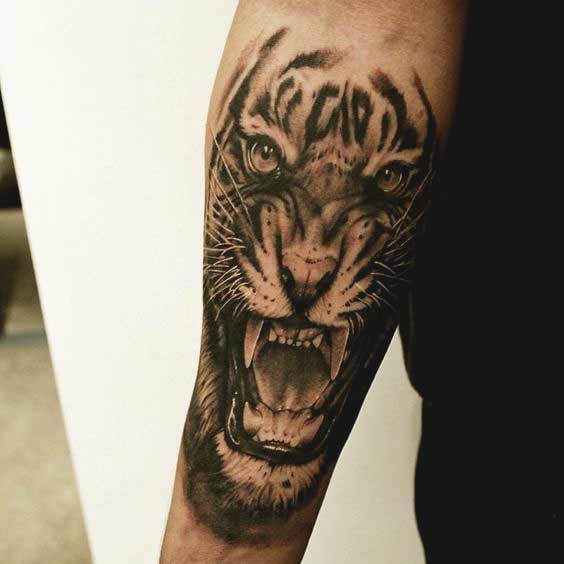 Best Tiger Tattoos For Men And Women Angry tiger tattoo face designs on inner forearm