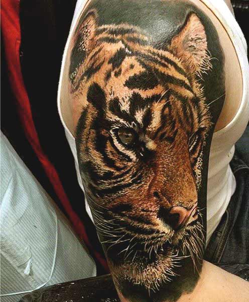 Best Tiger Tattoos For Men And Women Tiger face tattoos designs on arm for guys