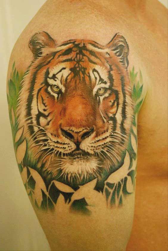 Best Tiger Tattoos For Men And Women Tiger face tattoo design on shoulder for boys