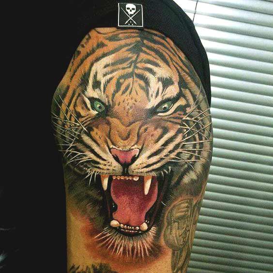 Best Tiger Tattoos For Men And Women Roaring tiger face tattoo for shoulder designs for guys