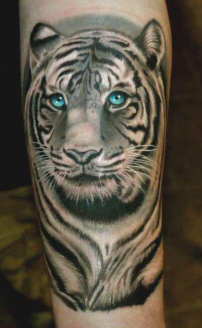 White tiger face with blue eyes tattoo on arm White tiger face with blue eyes tattoo on arm
