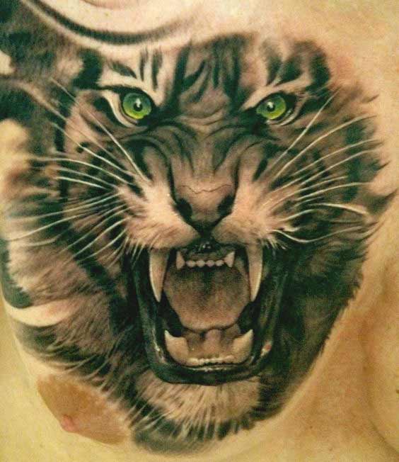 Best Tiger Tattoos For Men And Women Best Tiger tattoo designs for biceps