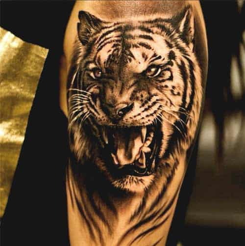 Best Tiger Tattoos For Men And Women Tiger tattoo designs on arm ideas for men