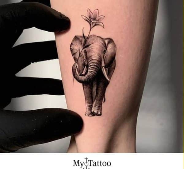 small elephant tattoos