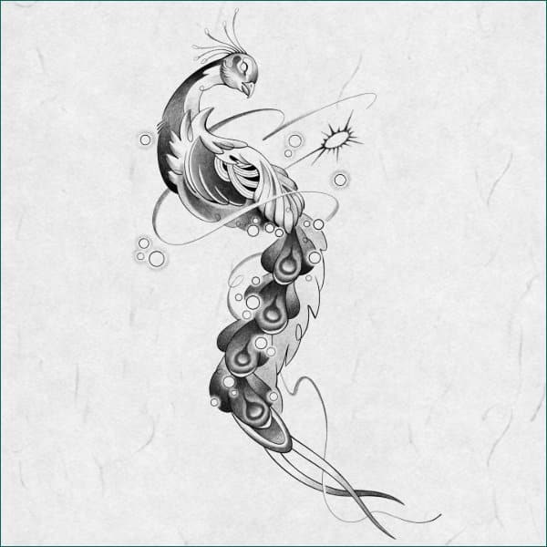 best peacock tattoo drawing