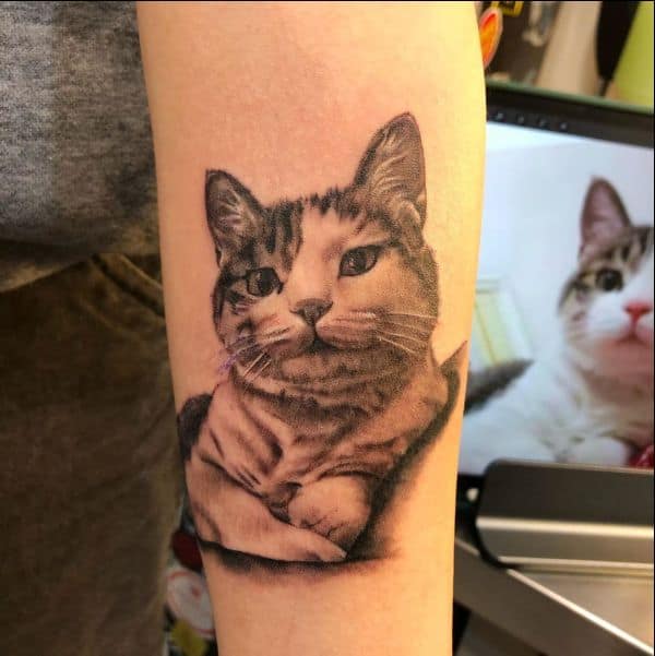 cat ear tattoos