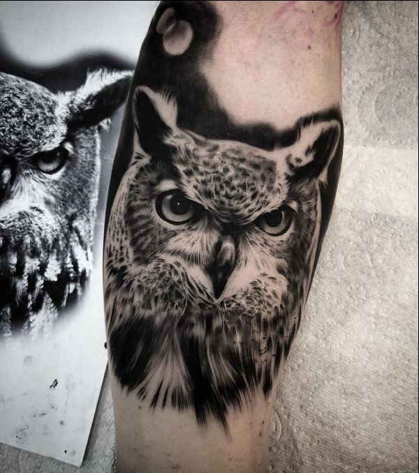 owl feather tattoo