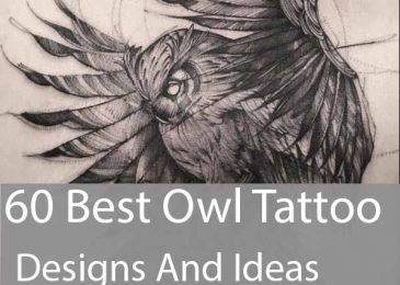 owl tattoos